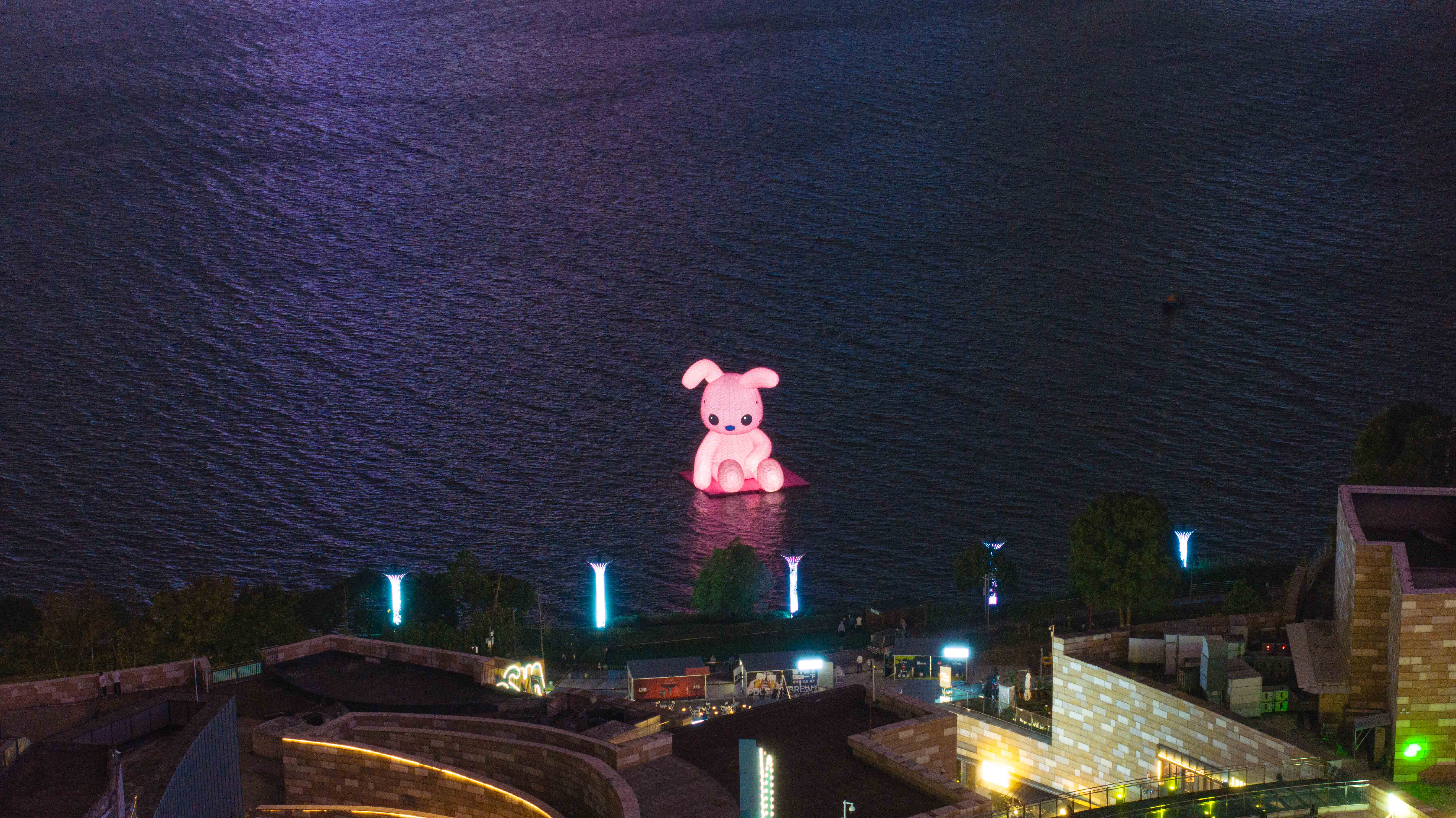 兔子夜景2.jpg