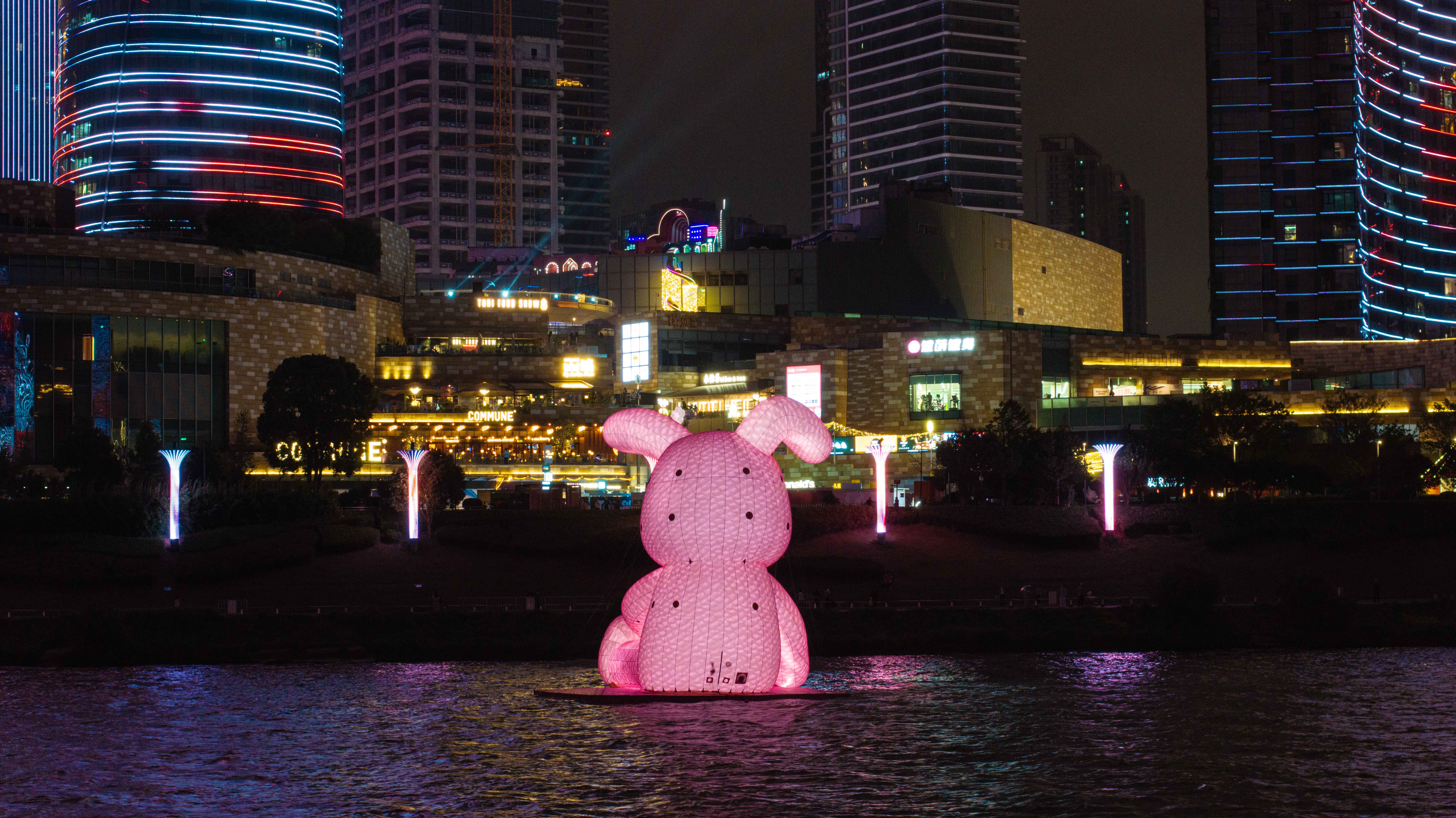 兔子夜景6.jpg